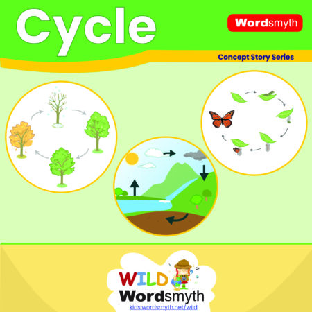 Concept Story: Cycle – A Story + Dictionary Book for Kids (Ages 4–7) - PDF